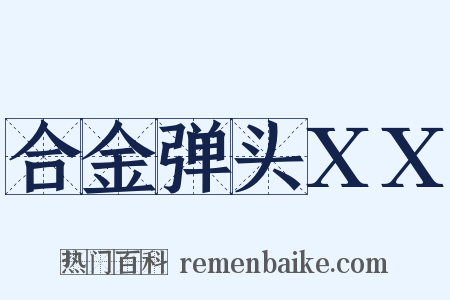 合金弹头XX是什么意思的图片